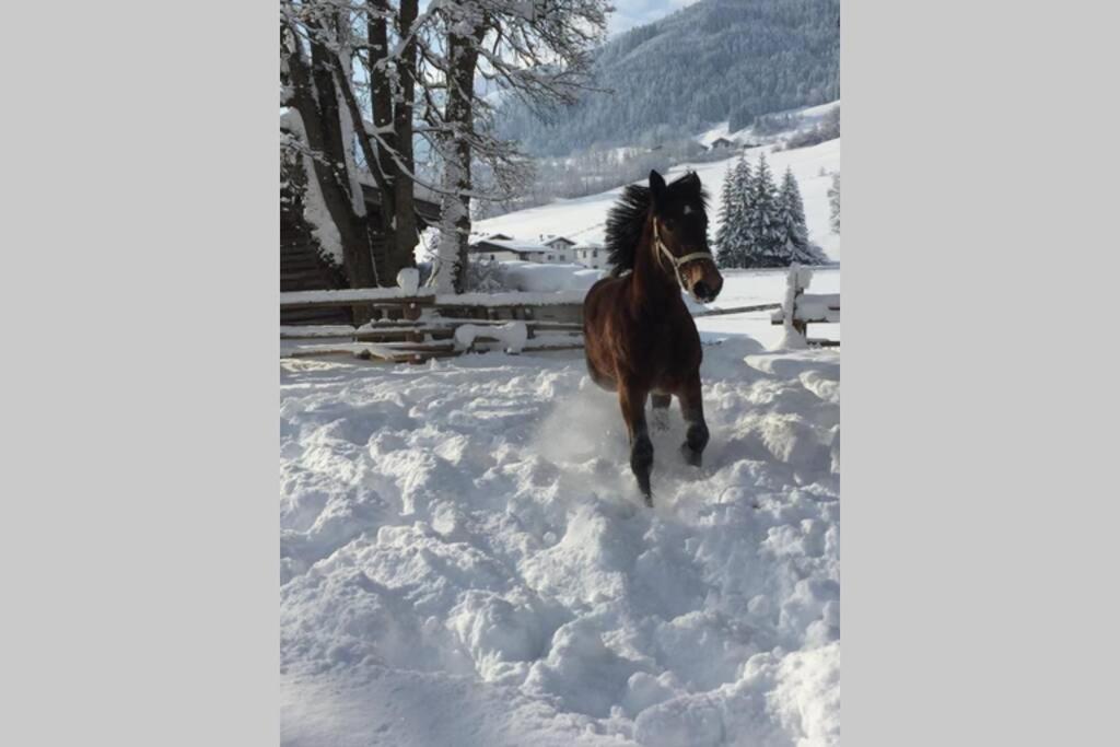 Sunny Apartment Maria Alm ภายนอก รูปภาพ